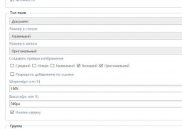 Поле «Документ» для ICMS 2